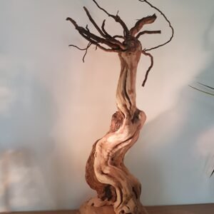 Cep décoratif 18 RASTA